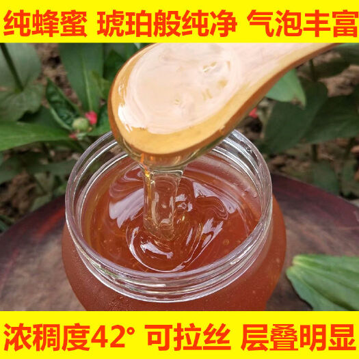 随县土蜂蜜中华土蜂蜜非意蜂蜜