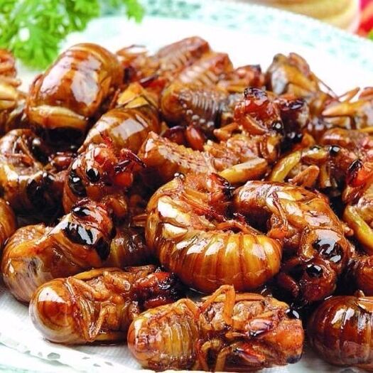 虞城县油炸金蝉开袋即食现做现卖，全国一件代发