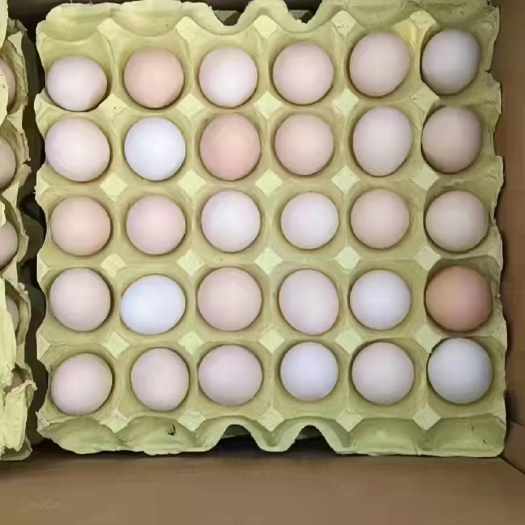 郓城县粉壳，中码小码