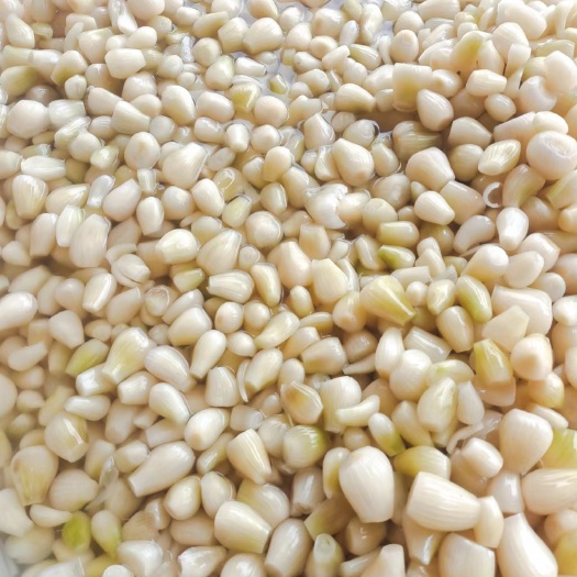 大批量供应泡菜半成品藠头