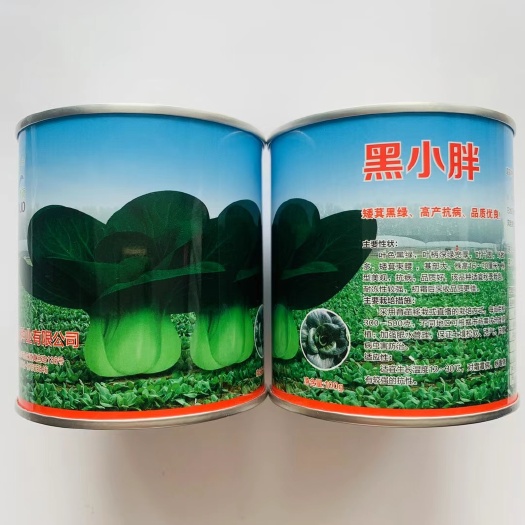 沭阳县青硕黑小胖矮脚苏州青种子黑油油四季菜籽高产抗病叶色深绿黑叶菜