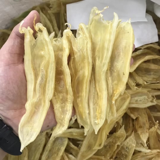 汕头鱼胶70头双背鱼胶 足干货花胶 清水货 多胶 糯口 坚持炖