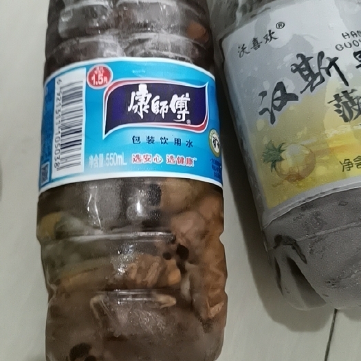 丹江口市南水北调源头丹江口特产，金蝉