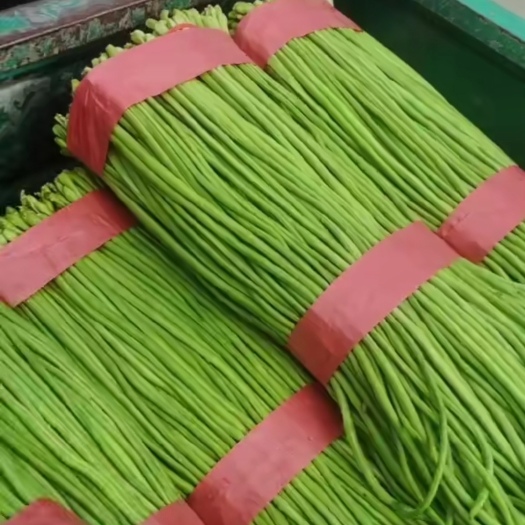 邯郸长豆角，绿条豆角，大量供应