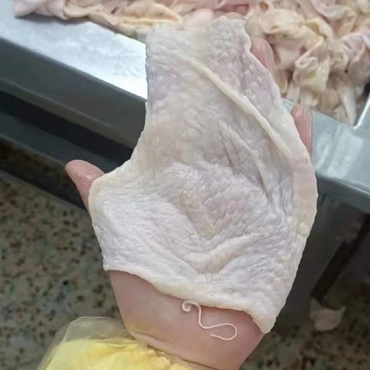 乐陵市胸皮