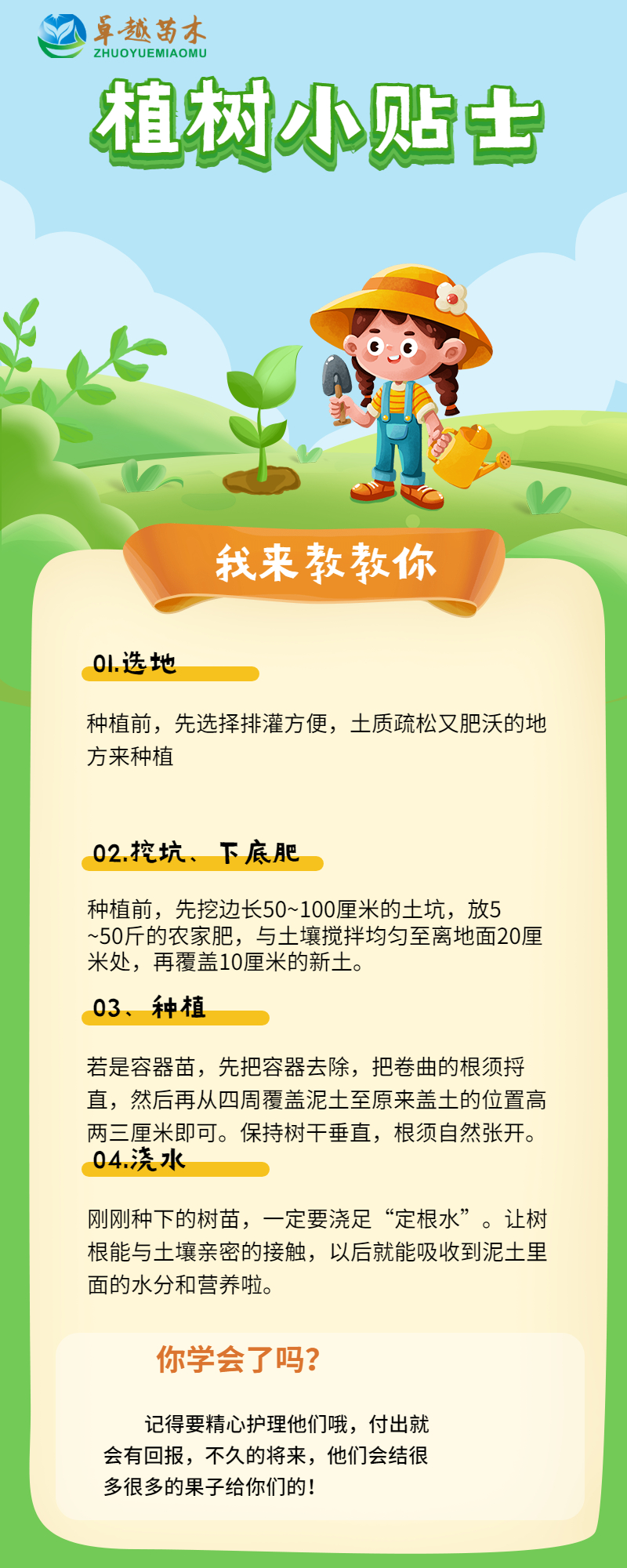 明日见柑橘苗  苗圃包邮直销嫁接明日见柑橘果树苗 日本新品种