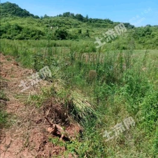 衡阳综合种养，水路电交通方便！可以种草皮，养鱼，