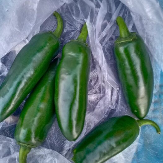 德惠市新鲜岗椒，试用于泡菜