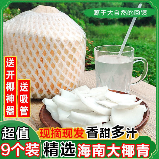 文昌市海南文昌椰青4/6/9个装