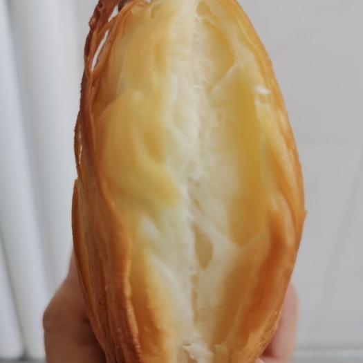 聊城老潼关肉夹馍冷冻饼