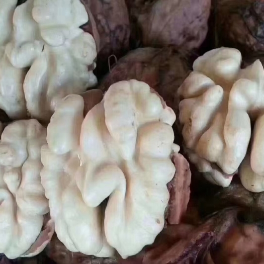 大理市云南大理.新鲜核桃