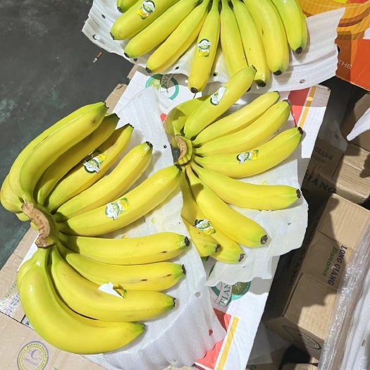 精品优惠二黄蕉大量现货有需要的可以联系我