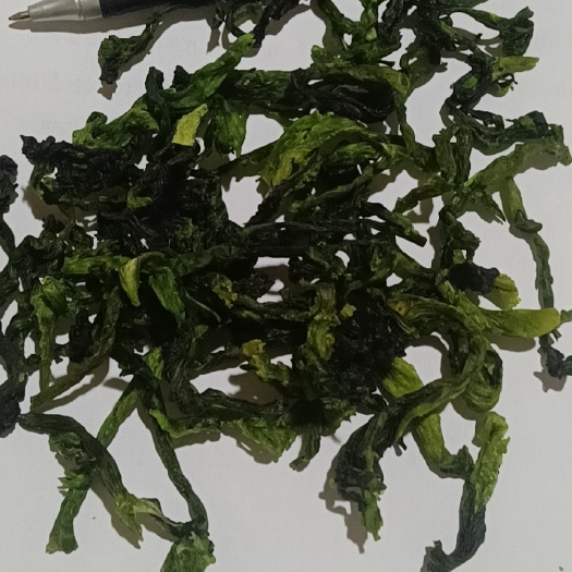 兴化市前期整柱脱水万年青 小青菜