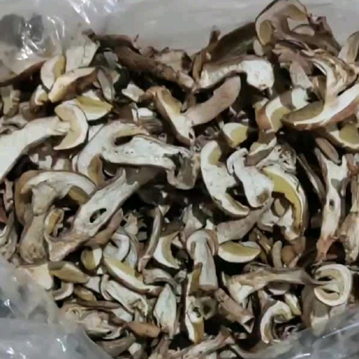 南华县牛肝菌干片