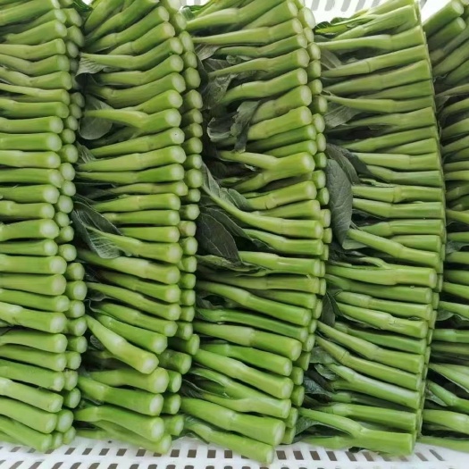 武汉菜心