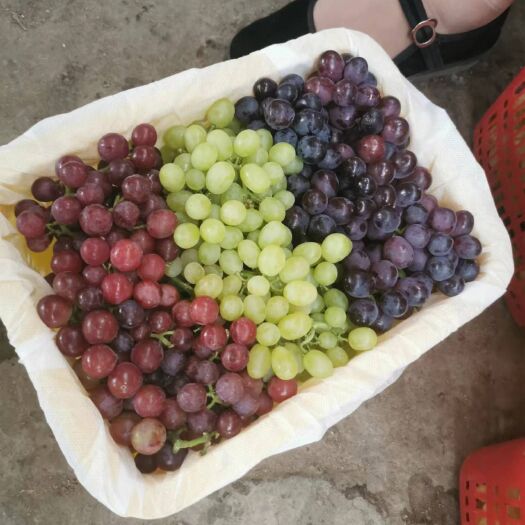 吐鲁番吐鲁番三色无核葡萄