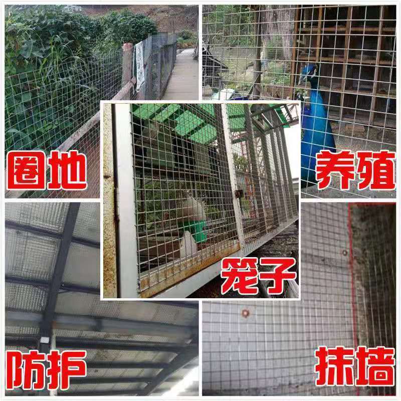 镀锌铁丝网围栏护栏网养殖钢丝网防鼠网兔笼养鸡鸭鸟笼阳台防护网