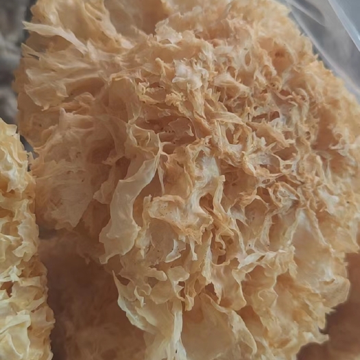 丽江银耳
