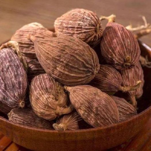 丽江高原草果