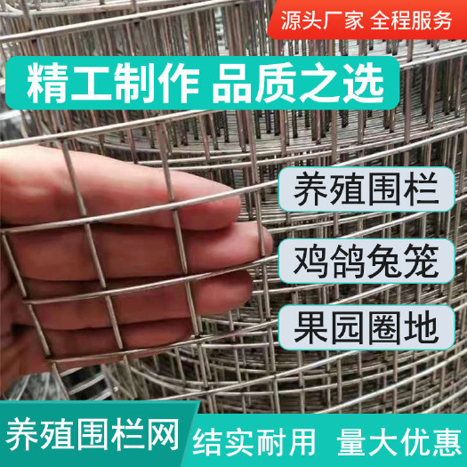 镀锌铁丝网围栏护栏网养殖钢丝网防鼠网兔笼养鸡鸭鸟笼阳台防护网