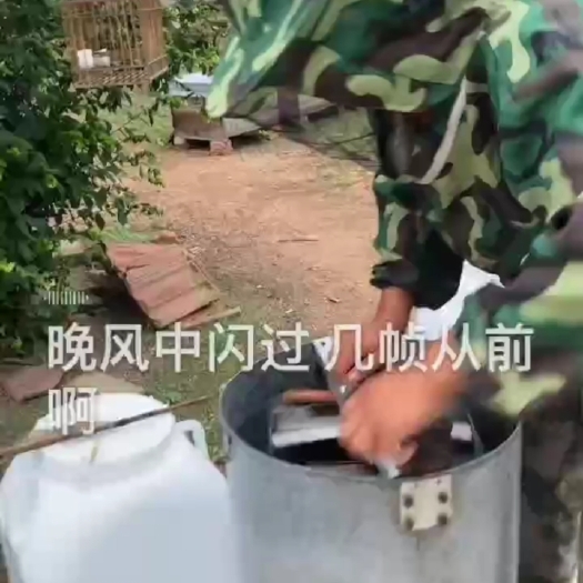 巴彦县高浓度椴树蜜 假一赔百