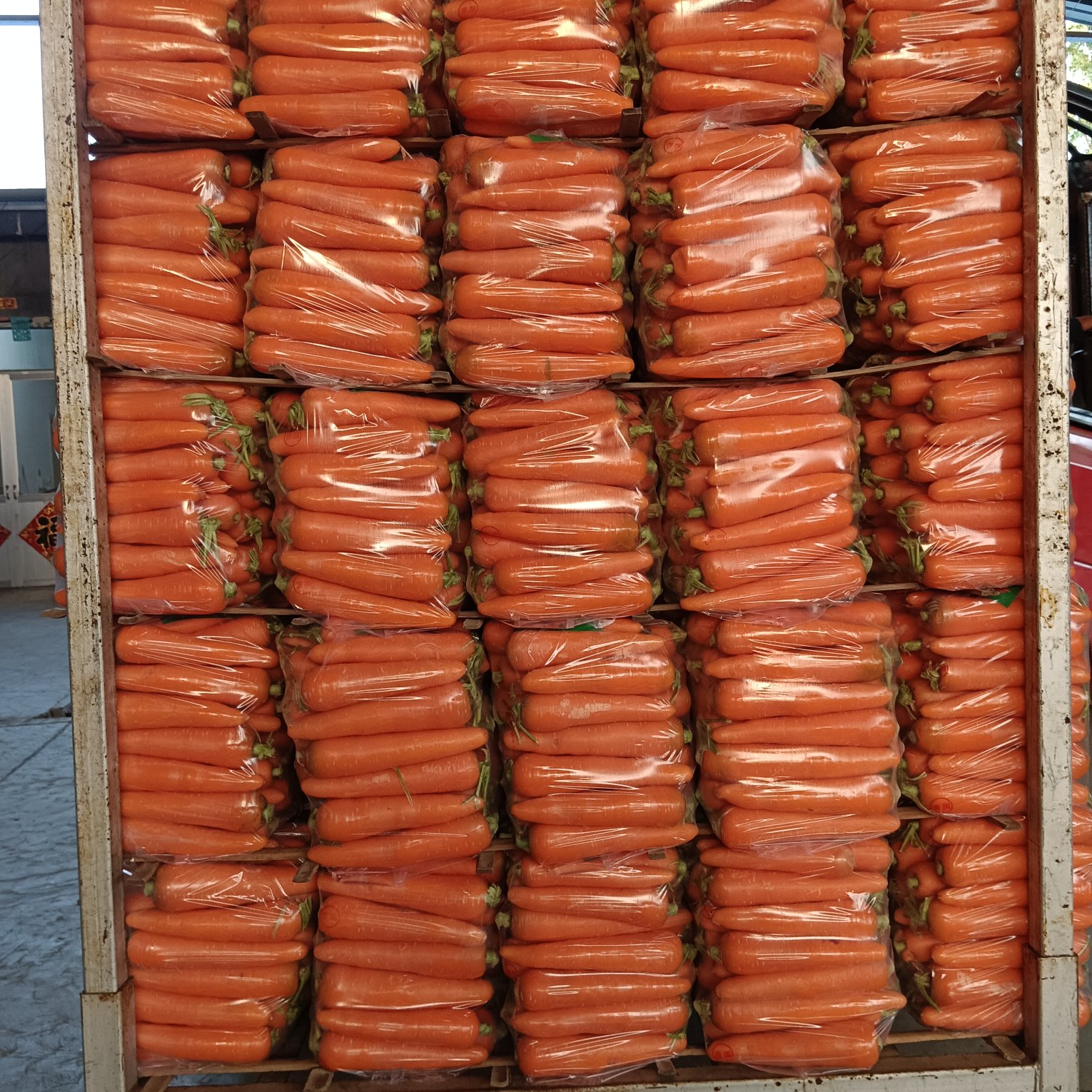 莱西市水洗精品胡萝卜，大条中条小条，各种规格可做
