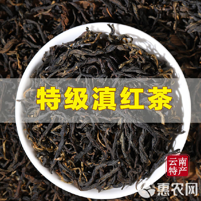 红茶 云南凤庆滇红古树晒红居家口粮茶源产地批发直销