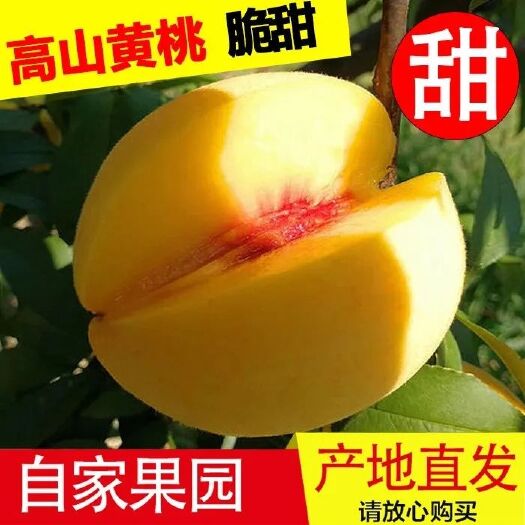 洪江市优质黄桃
