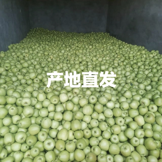 汉源县正宗汉源青苹果，味道酸甜，大量上市，诚信经营