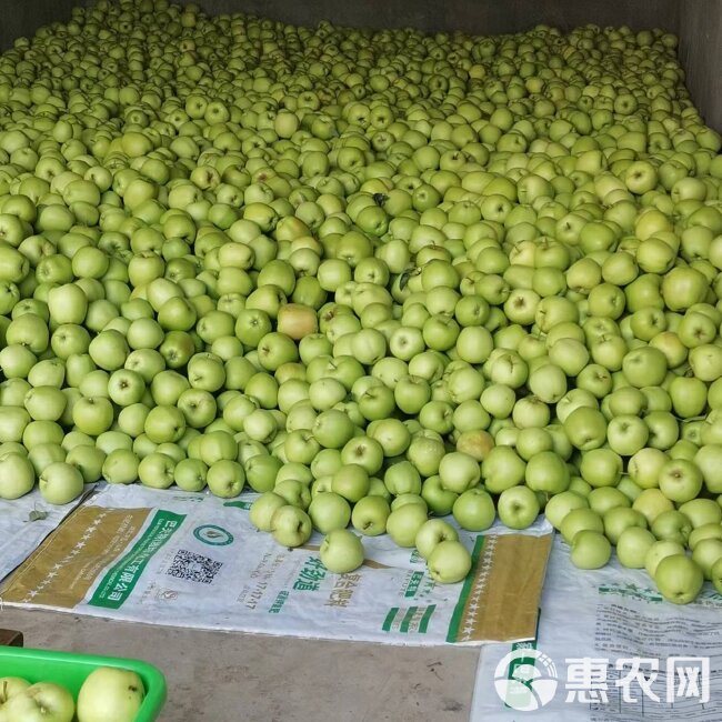 汉源青苹果，味道酸甜，大量上市，诚信经营