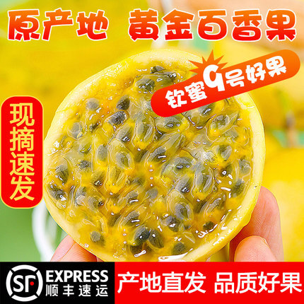 武平县钦蜜9号黄金百香果5斤新鲜水果当季黄金果甜果黄果鸡蛋整箱包邮