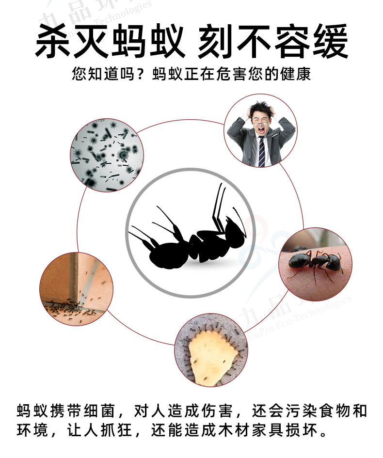 空消蚂蚁药家用杀虫剂喷雾剂室内厨房灭蚁药杀红大小蚂蚁