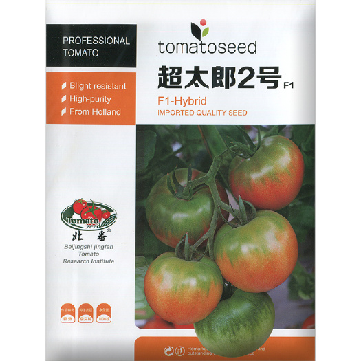 草莓番茄种子水果西红柿种子口感纯正高抗病毒基地采摘园主选品种