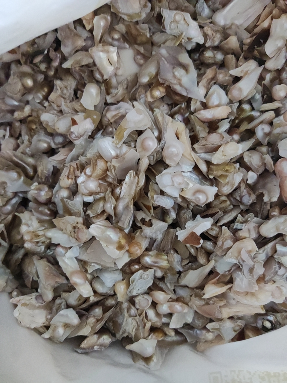 天然淡水无核珍珠