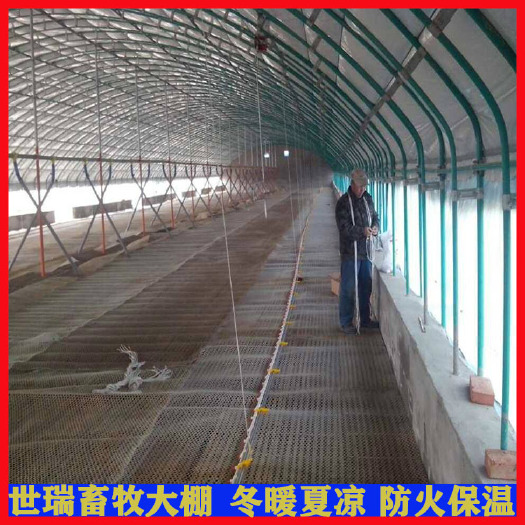 宁津县网床养鸭大棚搭建肉鸭养殖大棚建设蛋鸭养殖大棚安装