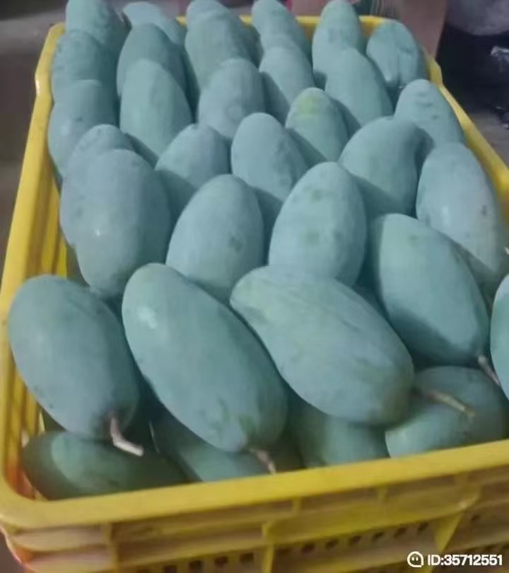 田东特级芒果批发零售，邮费自己承担