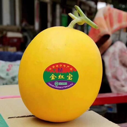 民勤县大漠蜜瓜