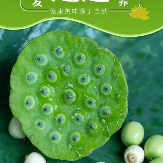 祁阳市白莲子