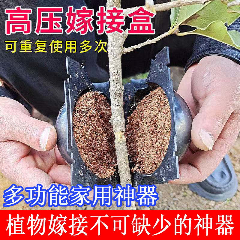 苗木高压繁殖盒嫁接生根器高空压枝植物高压盒繁殖球
