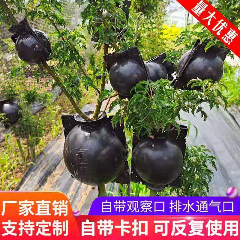 苗木高压繁殖盒嫁接生根器高空压枝植物高压盒繁殖球