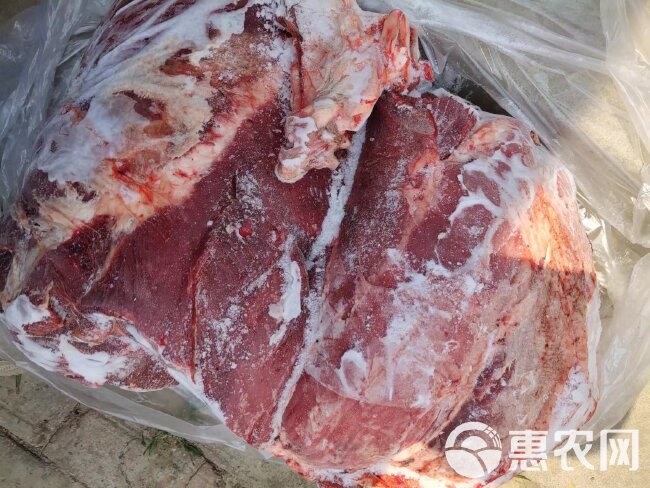 纯干鲜冻牛肉  质量保证  一手货源