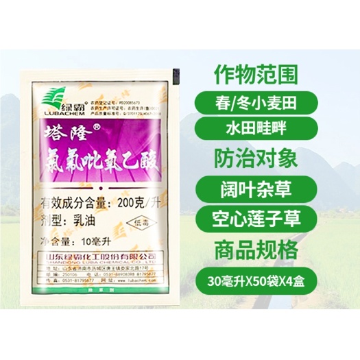 潍坊绿霸塔隆氯氟吡氧乙酸小麦水稻玉米水花生阔叶杂草农药除草剂