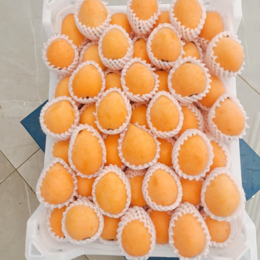 蒙自市枇杷