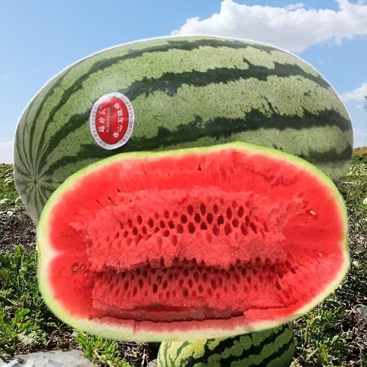 中卫宁夏硒砂瓜石头瓜头茬包熟包甜个大皮薄水分充足代收代发全国发货