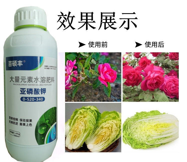 亚磷酸钾控旺控梢防病抗逆膨果上色养分纯净内吸传到性好