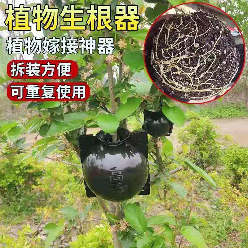 苗木高压繁殖盒嫁接生根器高空压枝植物高压盒繁殖球