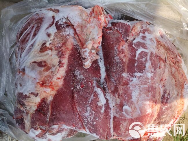 纯干鲜冻牛肉  质量保证  一手货源