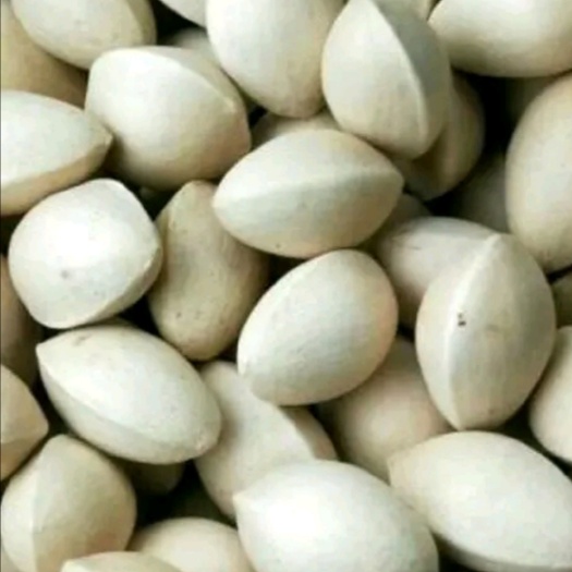 银杏果，白果