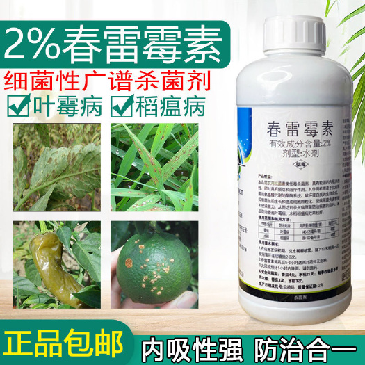 郑州春雷霉素 杀菌剂角斑病叶霉病柑橘溃疡病灰霉病流胶病疫病稻瘟