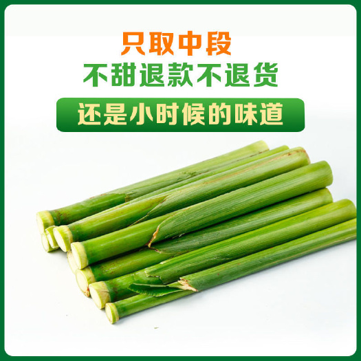 临城县新鲜甜杆甜卢粟甜高粱小甘蔗现砍现发
